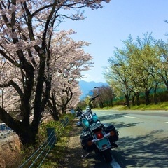 平日走れたらな
