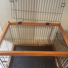 貰ってください(--;)の画像