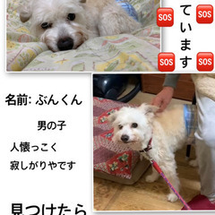 無事帰ってきました！