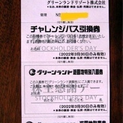 三井グリーンランドチケット①全アトラクション、家族分入園料、駐車...