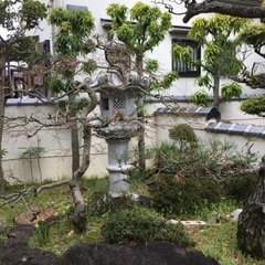 後日、詳しく投稿します。