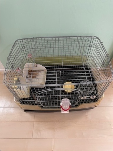 うさぎ飼育セット