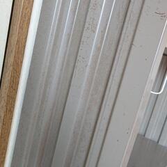 ︎︎◌(お話中)引き取り限定 ラックの画像