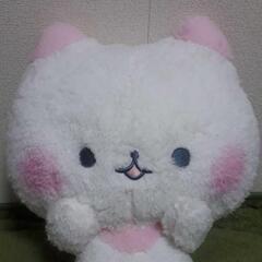 受け渡し決定しました。こねこのコットンぬいぐるみの画像