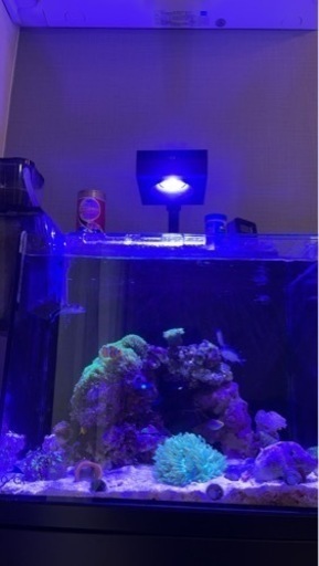 リーフLED 50 マウントアーム セット  ReefLed50