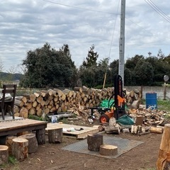 薪販売　激安日の画像