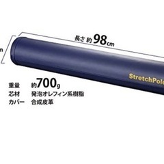 LPN ストレッチポール+付属品ベーシックエクササイズDVDの画像