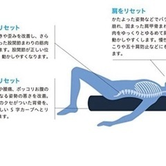 LPN ストレッチポール+付属品ベーシックエクササイズDVDの画像