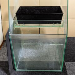 レグラスポニックスの中古が安い！激安で譲ります・無料で