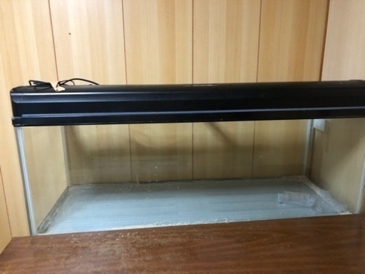 120センチ水槽