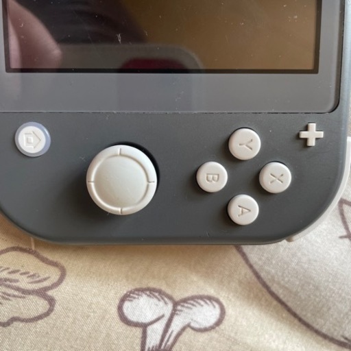 switchライト中古本日取り引き出来る方〔ソフト付き
