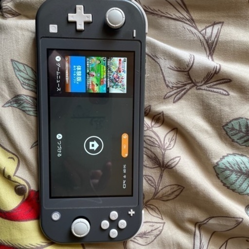 switchライト中古本日取り引き出来る方〔ソフト付き