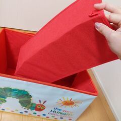 はらぺこあおむし おもちゃ箱 難ありの画像