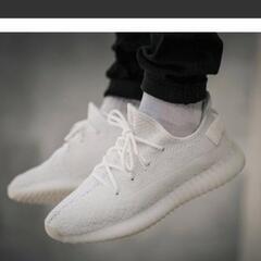 adidas yeezy boost 350 v2