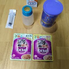 小猫のために