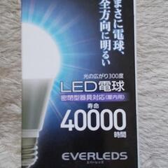 Panasonic　LED電球1本　昼光色の画像
