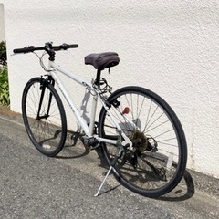 3月31日 募集中 直接取引き限定！CORVETTE コルベット 700c 7段変速