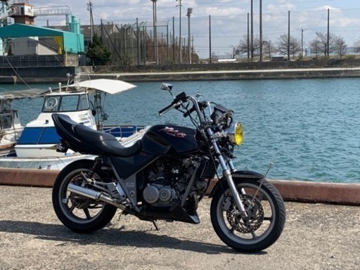 ゼルビス250 実動　交換希望