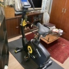 更新【急募 4月14日(木)までに取りに来れる方限定】フィットネスバイク・マット 購入時 5万円相当