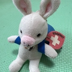 松潤のドラマで人気になったブタうさぎ
