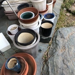 植木鉢　あげます