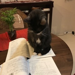 吹上で公立中学3年生の受験勉強を応援します
