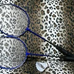 バトミントンセット 青の画像