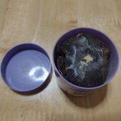 松ヤニ コントラバス