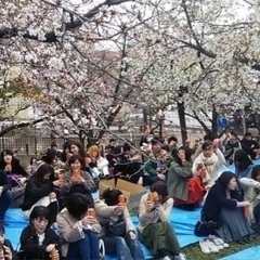 【合計200名】🌸4/5(土)＆4/6(日)桜ノ宮♩お花見🌸Pa...