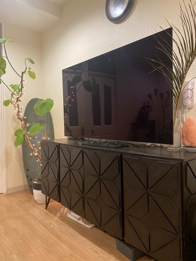 65型　有機EL 4k  テレビ　TV