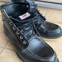 レッドウイング　アイリッシュセッター