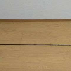 バス釣り　ロッド　カレイドクオッドライトの画像