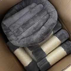 キャットタワー！の画像