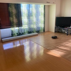 木目ダイニングラグ カーペット 床暖対応  撥水