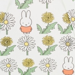 ミッフィー コラボ　ビニール傘[Dick Bruna×studio CLIP]の画像