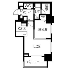 新築!★駅チカ★成約特典あり! ブランズ札幌南7条1506 札幌...