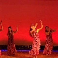 初めてのフラダンス　🌺体験会🌺　ふじみ野市上福岡の画像