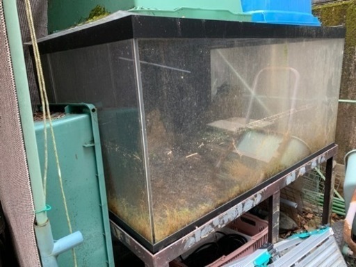 （お取引完了）🐟大きな水槽🐟価格交渉可能です😊