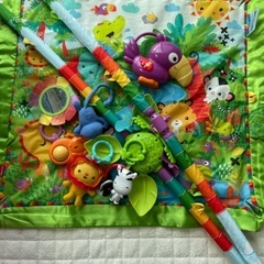 Fisher-Priceデラックスジム