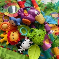 Fisher-Priceデラックスジムの画像