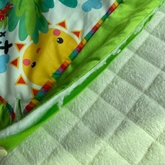 Fisher-Priceデラックスジムの画像