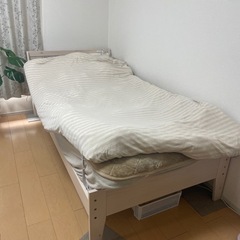 白ベット