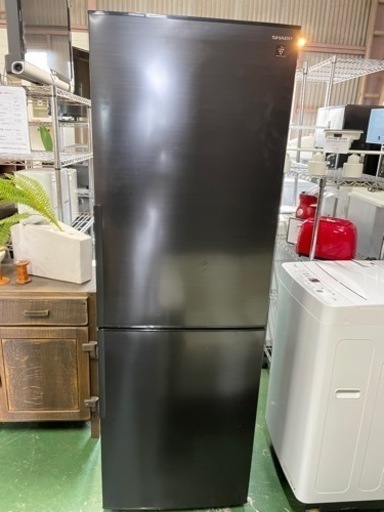 美品　2019年製　SHARP 310L 冷凍冷蔵庫