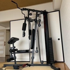 コストコトレーニングマシーン