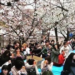 2025年大阪お花見🌸纏め【6種類・500名超え関西No,1】の...