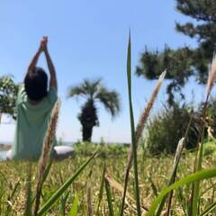 50歳過ぎてからの「やさしいヨガ」体験会