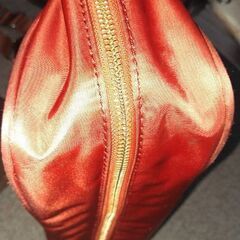 タケオキクチ　のバッグの画像