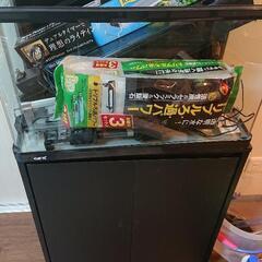 アクアリウム60cm水槽 早い者勝ちフルセット装備