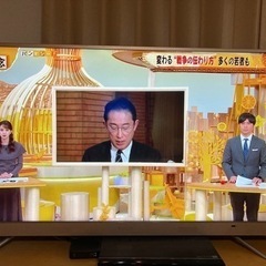 テレビ