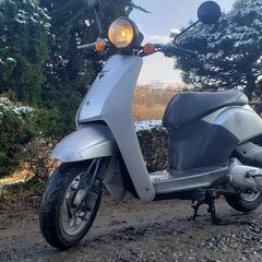 原付🛵HONDAトゥディ－50通勤通学配達❗配送可能‼️早い者勝ちの画像